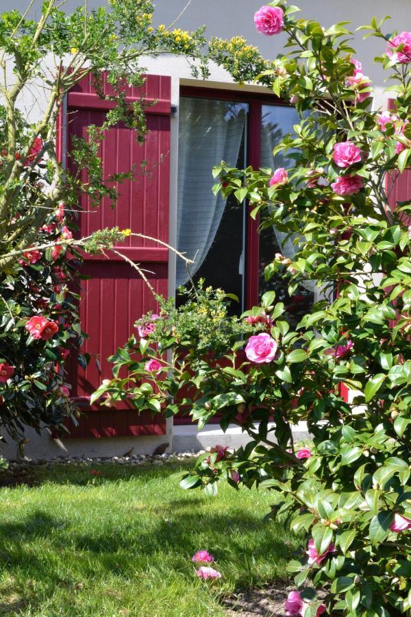 サン・ブリアック・シュル・メール Le Tertre Gatinais Bed & Breakfast エクステリア 写真